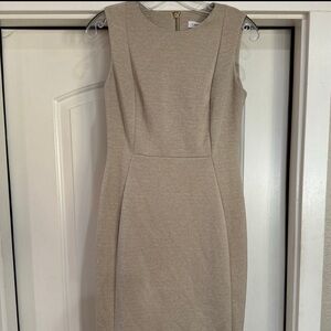 Calvin Klein Pale Pink Beige Suede Sleeveless Gold Zipper Sheath Dress SZ 4